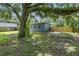 Large backyard features new fencing, a mature tree, and a glimpse of the home at 3561 Elfers Pkwy, New Port Richey, FL 34655