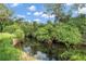 Creek surrounded by lush foliage and trees, providing a scenic view at 3561 Elfers Pkwy, New Port Richey, FL 34655