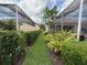 Manicured lawn and landscape leading to the screened-in pool area of the property at 5962 Roseto Pl, Sarasota, FL 34238