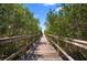 Picturesque wooden boardwalk trail winding through a canopy of trees and lush greenery at 6208 Signature Pointe Ln, Bradenton, FL 34210