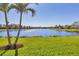 Beautiful backyard lake view with a lush green lawn and palm trees, perfect for relaxing and enjoying the scenery at 1014 Calico Gln, Bradenton, FL 34212