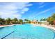 Large community pool with palm trees and comfortable seating, providing a resort-like atmosphere for residents at 13320 Coluccio St, Venice, FL 34293