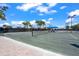 Community tennis court surrounded by mature palm trees under a sunny, partly cloudy sky at 13320 Coluccio St, Venice, FL 34293