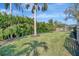 Expansive backyard with a mix of palm trees and hedges that provide privacy, creating a serene outdoor space at 1511 N Lake Shore Dr, Sarasota, FL 34231