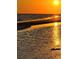 Golden sunset reflecting on a tranquil beach at the end of the day at 1876 Livingstone St, Sarasota, FL 34231