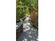 Elevated shaded boardwalk through lush vegetation with dappled sunlight at 1876 Livingstone St, Sarasota, FL 34231