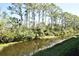 Scenic view of the pond, lined with lush trees, creating a peaceful and natural setting at 5684 Sheffield Greene Cir # 79, Sarasota, FL 34235
