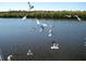 Beautiful waterfront view with flock of seagulls flying over the water and trees on the distant shore at 603 Ravenna N St, Nokomis, FL 34275