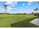Sprawling green backyard with lush lawn and beautiful tropical landscaping views at 6766 Greenview Ln, Englewood, FL 34224