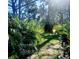 A shady backyard featuring lush tropical plants and trees, offering a serene outdoor space at 7183 Wood Creek Dr # 9, Sarasota, FL 34231