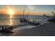Picturesque beach scene at sunset with calm waters and unique driftwood at 7183 Wood Creek Dr # 9, Sarasota, FL 34231