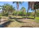 Beautiful Palm trees with manicured lawn in a sunny backyard of this homesite at 7677 Saddle Creek Trl, Sarasota, FL 34241