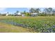 Exterior view of a light blue home, detached garage, and lily pad pond at 7677 Saddle Creek Trl, Sarasota, FL 34241