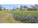 House exterior view across the lily pad-covered pond with large acreage and blue home at 7677 Saddle Creek Trl, Sarasota, FL 34241
