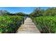 A wooden dock extends into a tranquil waterway lined with lush mangroves on a sunny day at 835 S Osprey Ave # 101, Sarasota, FL 34236