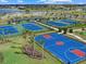 Aerial view of basketball and tennis courts with blue and green surfaces surrounded by lush landscaping and palm trees at 16455 Whale Grey Pl, Bradenton, FL 34211