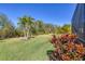 Spacious backyard with lush green grass and tropical landscaping at 21037 Anclote Ct, Venice, FL 34293