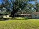 Large backyard featuring mature trees, a well-maintained lawn, and a charming home in the background at 411 El Greco Dr, Brandon, FL 33511