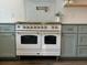 Close up on oven with brass handles and green cabinets at 411 El Greco Dr, Brandon, FL 33511