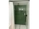 Shower with green tiling and white marble floor at 411 El Greco Dr, Brandon, FL 33511