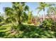 Private backyard with a lush lawn, swaying palm trees, tropical plants, and the screened lanai create a perfect outdoor retreat at 4740 Carrington Cir, Sarasota, FL 34243
