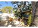 Wood storage and lush vegetation enhance this backyard area with mature shade tree at 603 Frances St, Nokomis, FL 34275