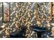 Bold powder room featuring custom gold fish wallpaper and black fixtures at 7300 Wax Myrtle Way, Sarasota, FL 34241