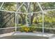 Close up of a screened-in pool features a statue and lush landscaping, set against a backdrop of towering trees at 7300 Wax Myrtle Way, Sarasota, FL 34241