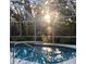 Sparkling pool area featuring a screen enclosure and lush landscaping at 7300 Wax Myrtle Way, Sarasota, FL 34241