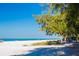 Scenic beach view with lush trees providing shade near the water, offering a perfect spot for leisure and relaxation at 821 S Bay Blvd, Anna Maria, FL 34216