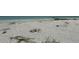 View of the beach with scattered vegetation, meeting the tranquil ocean on a sunny day at 8625 Midnight Pass Rd # 305B, Sarasota, FL 34242