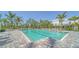 Resort-style pool with palm trees, lounge chairs, and shade canopies surrounded by a paver deck at 18137 Franklin Park Ct, Venice, FL 34293