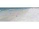 Picturesque beach featuring sandy shoreline, clear waters, seabirds, and people enjoying the scenic seaside at 4104 128Th W St # 704, Cortez, FL 34215