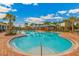 Stunning community pool surrounded by palm trees and lounge seating, perfect for enjoying sunny days at 4231 Autumn Fog Ct, Palmetto, FL 34221