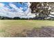 Expansive baseball field in a park-like setting with mature trees and a clear sky at 6415 Fetterbush Ln, Lakewood Ranch, FL 34202