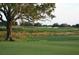 View of a golf course landscape with mature trees, sand traps, and well-maintained green grass at 8847 Colonels Ct, Sarasota, FL 34240