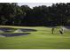 Golf course view with a golfer near sand traps surrounded by lush grass and trees at 8847 Colonels Ct, Sarasota, FL 34240