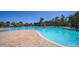 Large community pool with a brick-paved patio, plenty of seating and a beautiful view of palm trees and landscaping at 17715 Cantarina Cv, Bradenton, FL 34211