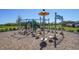 Close-up of playground climbing structure at 17715 Cantarina Cv, Bradenton, FL 34211