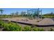 Community playground with swings, slides, and green space at 17715 Cantarina Cv, Bradenton, FL 34211