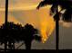 Tranquil scene of sun rays shining behind trees, silhouetted against the colorful sky at 1815 Palma Sola Blvd, Bradenton, FL 34209