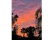 Vibrant sunset paints the sky with fiery hues, framed by the silhouettes of lush trees at 1815 Palma Sola Blvd, Bradenton, FL 34209