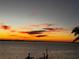 Breathtaking waterfront sunset with colorful skies reflected in the water, accented by a lone palm tree at 1815 Palma Sola Blvd, Bradenton, FL 34209