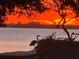 Peaceful waterfront scene with a great blue heron wading near the pier during a colorful sunset at 1815 Palma Sola Blvd, Bradenton, FL 34209