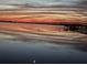 Scenic waterfront at dusk, with birds wading on the shoreline as vibrant colors reflect on the water at 1815 Palma Sola Blvd, Bradenton, FL 34209
