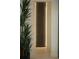 Modern hallway with a decorative accent wall and natural light from a potted plant at 212 S Renellie Dr, Tampa, FL 33609