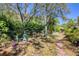 Expansive backyard with mature trees and greenery, creating a private and tranquil outdoor space at 2515 49Th St, Sarasota, FL 34234