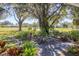 Lush front yard with mature tree offering a peaceful and inviting view at 2515 49Th St, Sarasota, FL 34234
