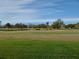 Scenic view of the golf course with lush green grass and mature trees at 3790 Pinebrook Cir # 103, Bradenton, FL 34209