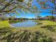 A tranquil pond framed by lush greenery and mature trees within a peaceful residential community at 4015 Bridlecrest Ln, Bradenton, FL 34209